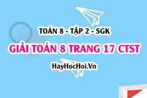 Giải Toán 8 trang 17 tập 2 Chân trời sáng tạo SGK
